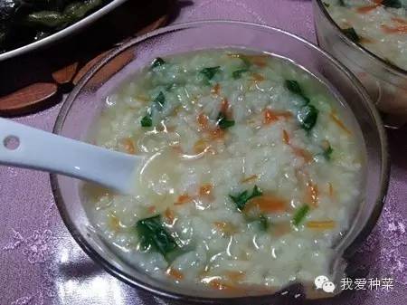 发芽的红薯千万不要丢掉,家里发芽的红薯怎么种