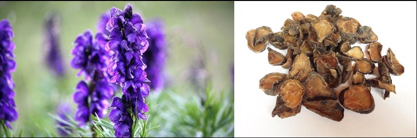 朱砂中毒解毒,古代朱砂有毒吗