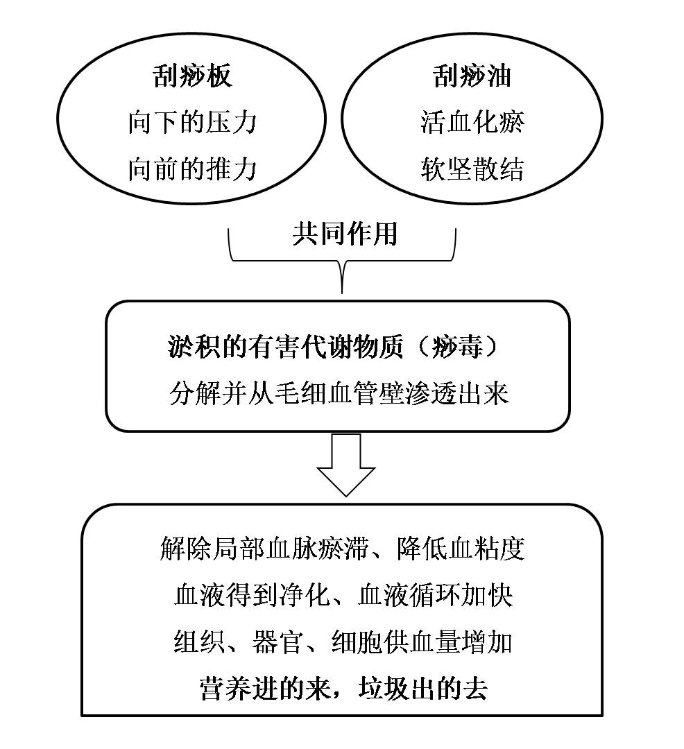 木易刮痧泥灸,木易刮痧