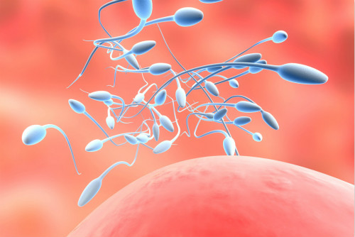 上亿精子只有一个成功受孕吗,几亿颗精子和一个卵子相遇