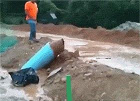 进来用手机截图，截到哪个明星，未来你的老婆就长那样