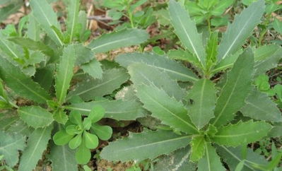 不看不晓得,不看不知道