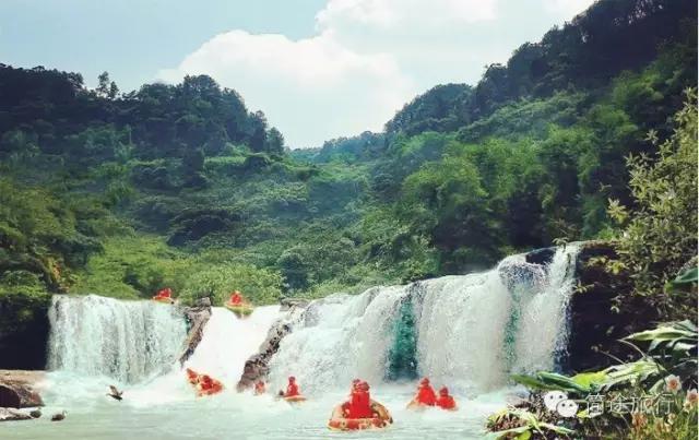 重庆生物地理答案,重庆水土生物研究