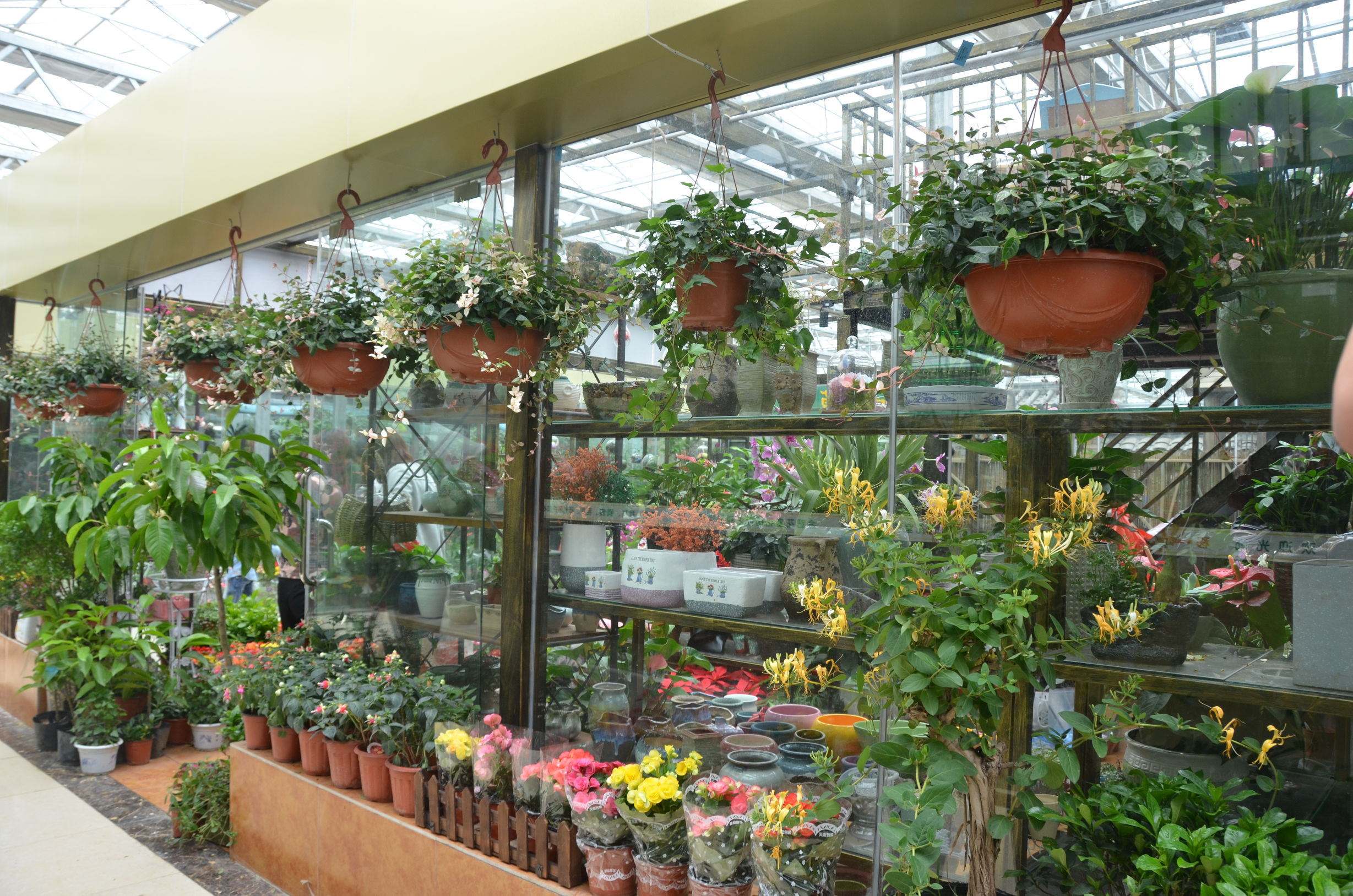 踏青赏花好去处合肥,合肥市内春游赏花公园