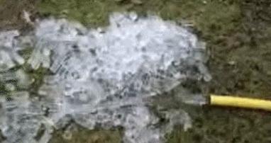 进来用手机截图，截到哪个明星，未来你的老婆就长那样