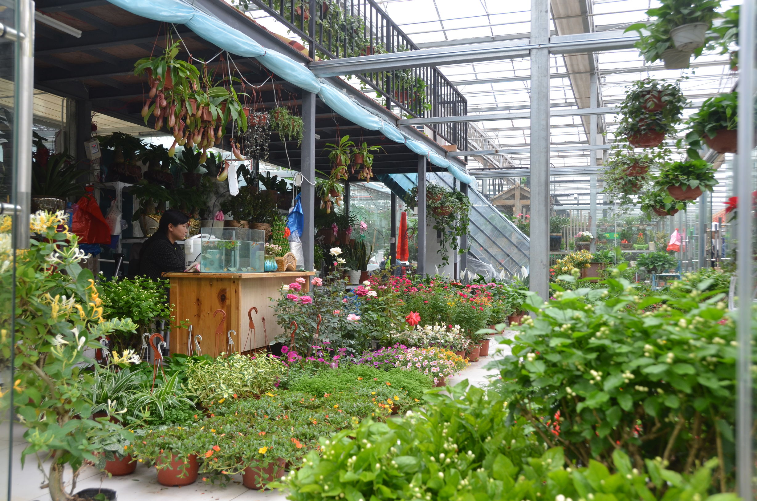 踏青赏花好去处合肥,合肥市内春游赏花公园