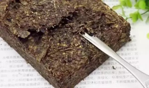 茶叶里“长虫”，你还能喝得下去吗？