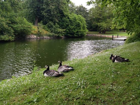 施华洛世奇白天鹅10年,马尔默全集完整版