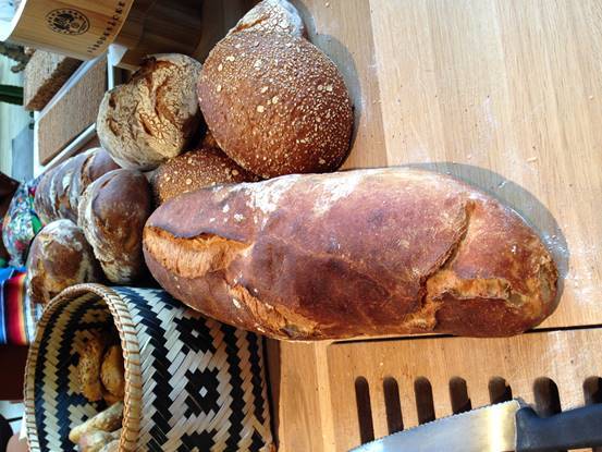 施华洛世奇白天鹅10年,马尔默全集完整版