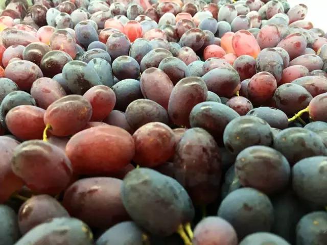 合肥惊现光速水果外卖，最晚到凌晨12点，这么任性的只有它了！