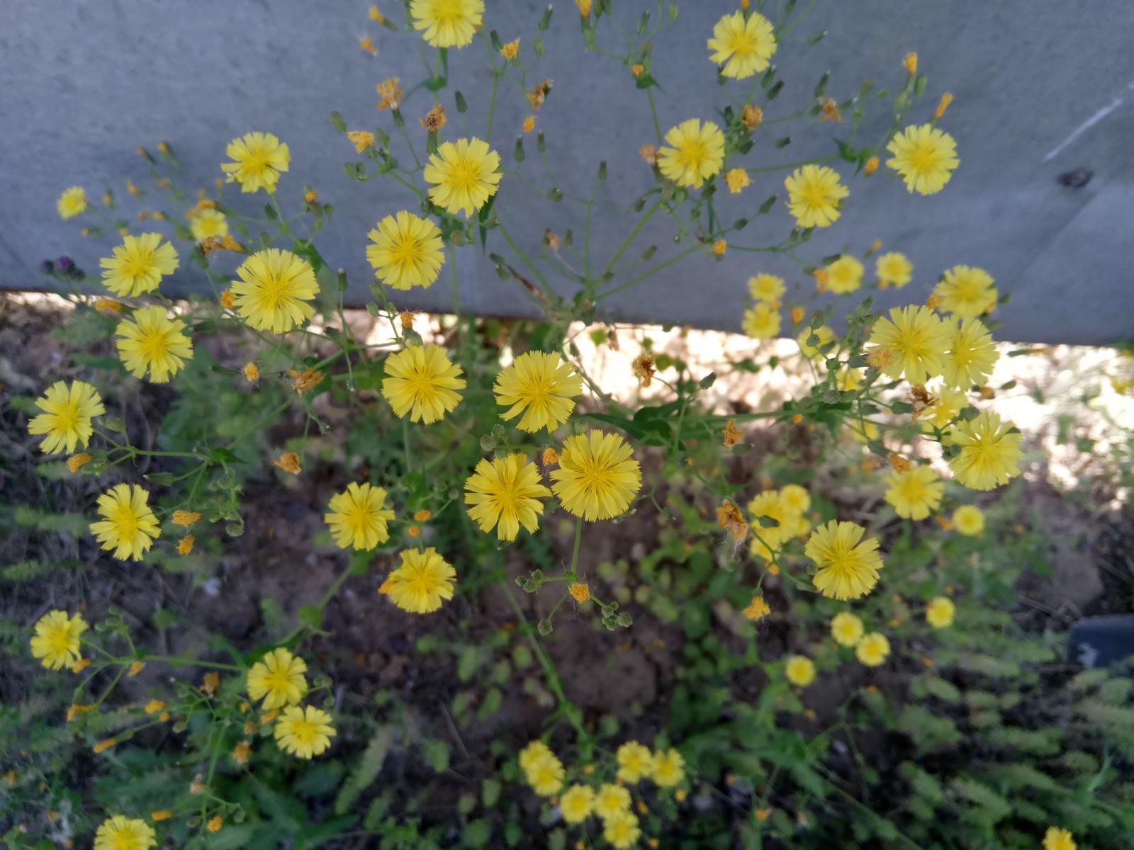 乐2手机性能,乐2手机测评