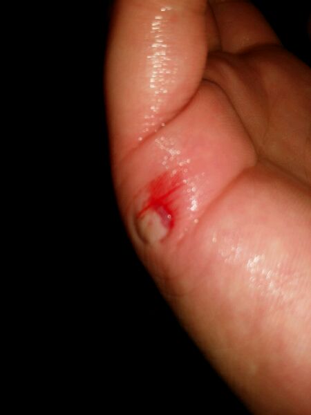 玩乌龟的下场有哪些,玩王八