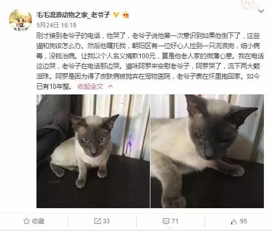 收养流浪狗自家狗狗染病,流浪狗被收养后都到哪里去了