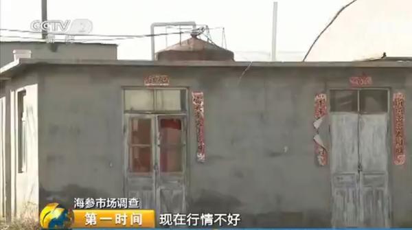 海参多少钱一斤比较合理呢,海参多少钱一斤算正常价格