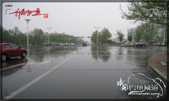 风雨无阻之我爱飞鱼去‘*欢寻**’！