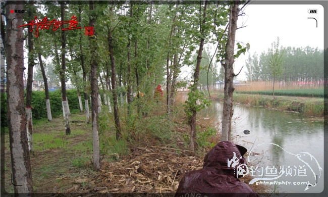 风雨无阻之我爱飞鱼去‘*欢寻**’！