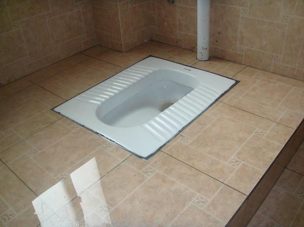 卫生间装蹲便器又嫌臭怎么补救,家里卫生间蹲便器反臭味