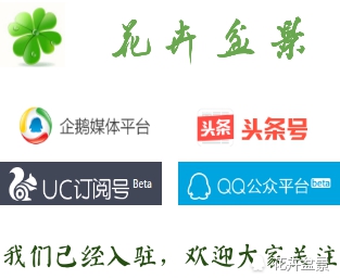 花种催芽方法有哪些呢,各种花种催芽方法