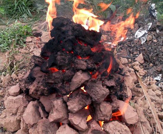 南宁十大最美农家乐推荐,南宁农家乐排行榜适合小朋友