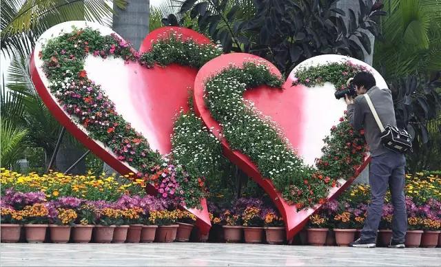 惠东有什么好玩的东西推荐,惠东海边景点推荐网红打卡地