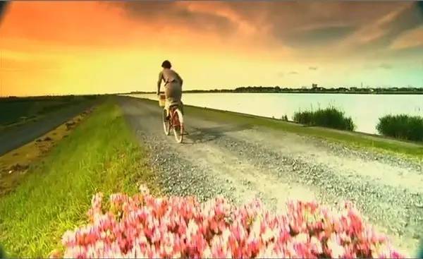 爱丽丝梦游仙境唯美风景,爱丽丝梦游仙境超美场景