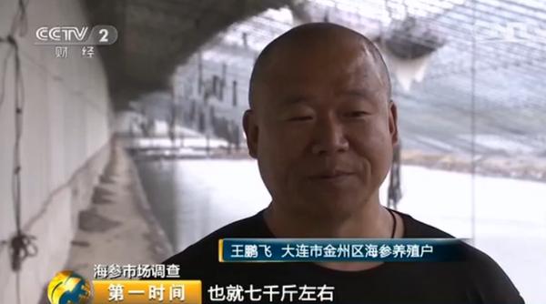 海参多少钱一斤比较合理呢,海参多少钱一斤算正常价格