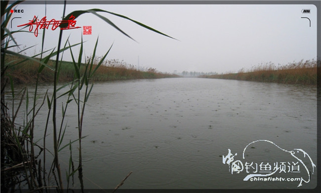 风雨无阻之我爱飞鱼去‘*欢寻**’！
