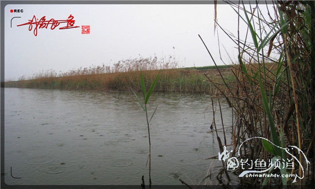风雨无阻之我爱飞鱼去‘*欢寻**’！