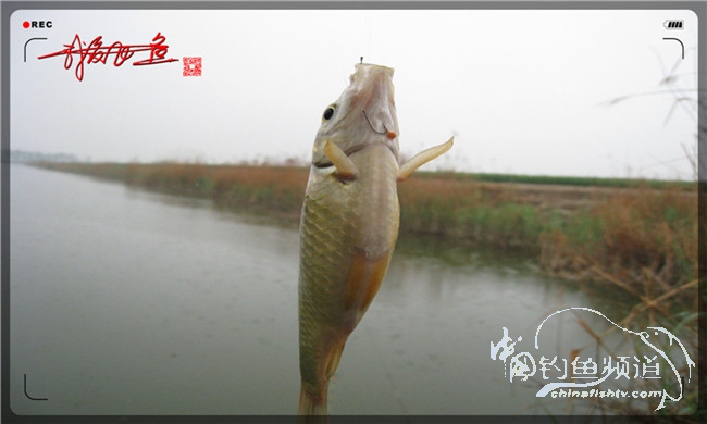 风雨无阻之我爱飞鱼去‘*欢寻**’！