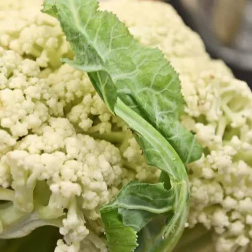 直播信阳大事件：40分钟销售两万斤！帮女郎~棒棒哒！