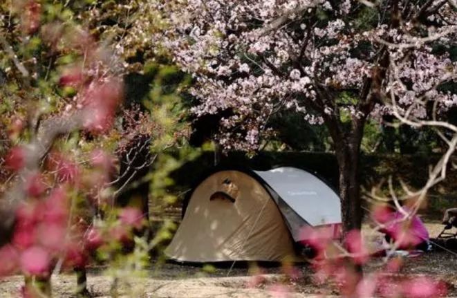 北京游玩一年不重样,一天游北京攻略大全