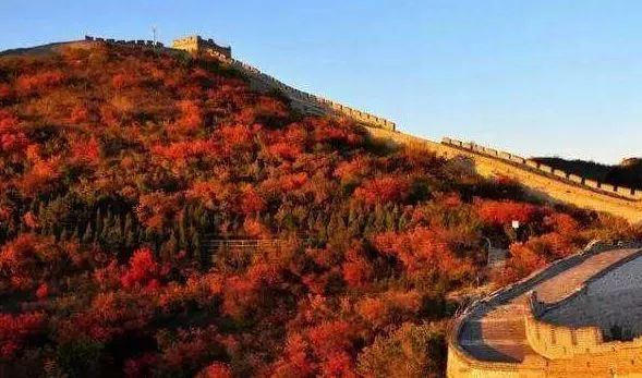 北京游玩一年不重样,一天游北京攻略大全