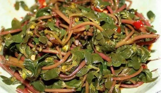 又是一年摘野菜季节,赣州有哪些野菜