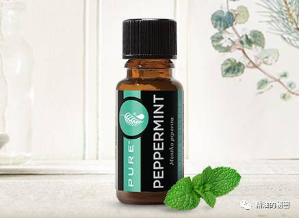 这四款精油是“女性的小护士”，帮你解决各种身体问题！