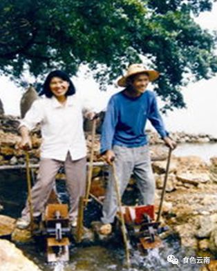 云南淡水鱼类图鉴,云南鱼类有哪些