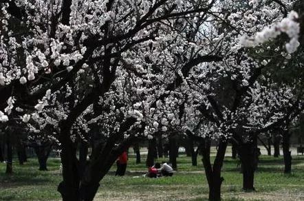 北京游玩一年不重样,一天游北京攻略大全