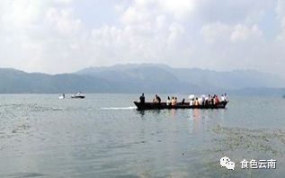 云南淡水鱼类图鉴,云南鱼类有哪些