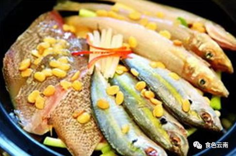 云南淡水鱼类图鉴,云南鱼类有哪些