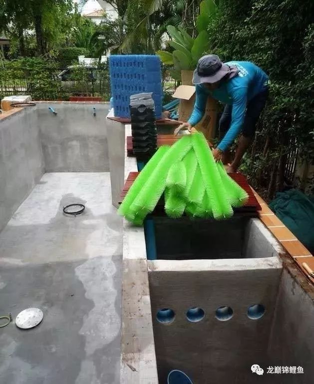 鱼缸PH值怎么调整,小苏打调节龙鱼鱼缸ph值用量多少