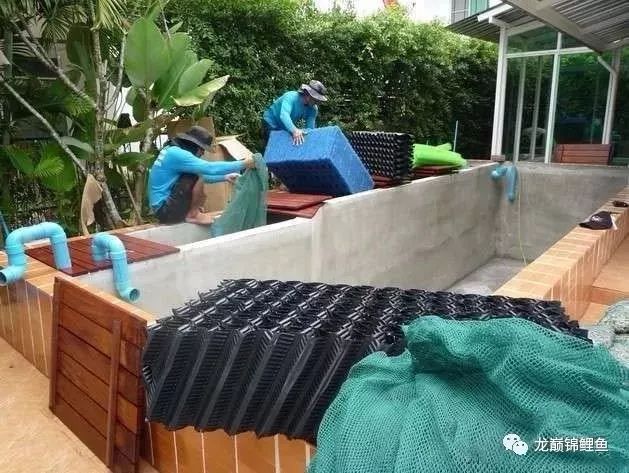 鱼缸PH值怎么调整,小苏打调节龙鱼鱼缸ph值用量多少