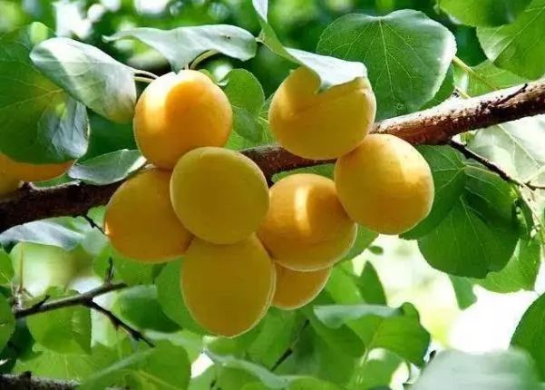 北京游玩一年不重样,一天游北京攻略大全