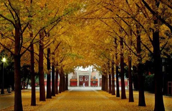 北京游玩一年不重样,一天游北京攻略大全