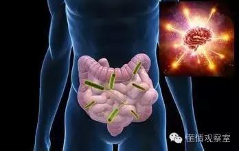 改变肠道菌群或能影响大脑健康,肠道菌群真的能控制大脑吗