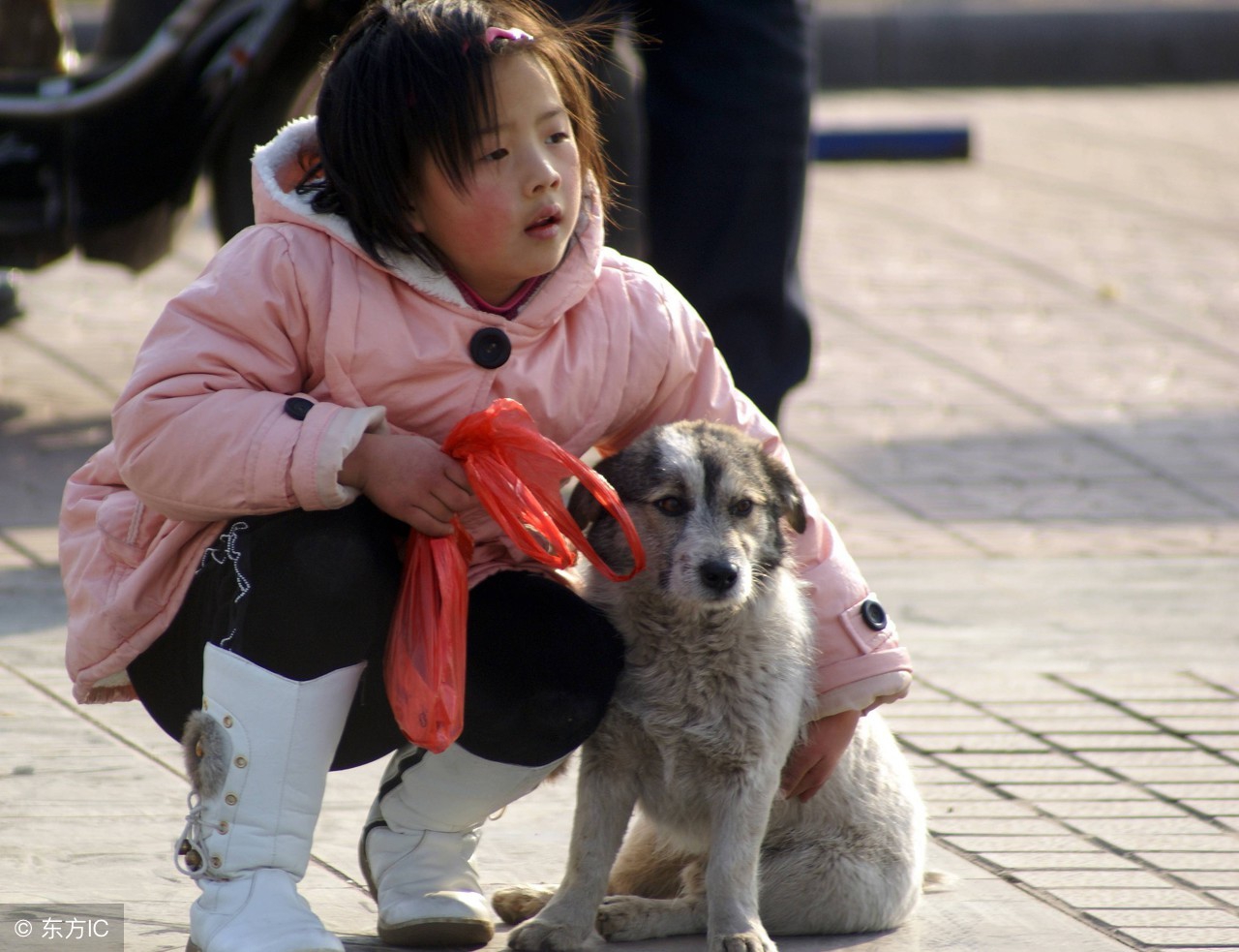 恐狂症与狂犬病的敏感区别,恐狂是什么