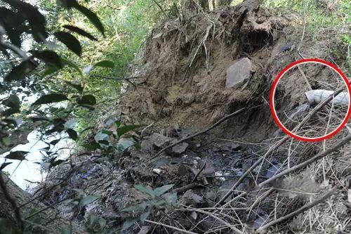 养殖场粪水直排怎么处罚,养殖场乱排粪污属于什么行为