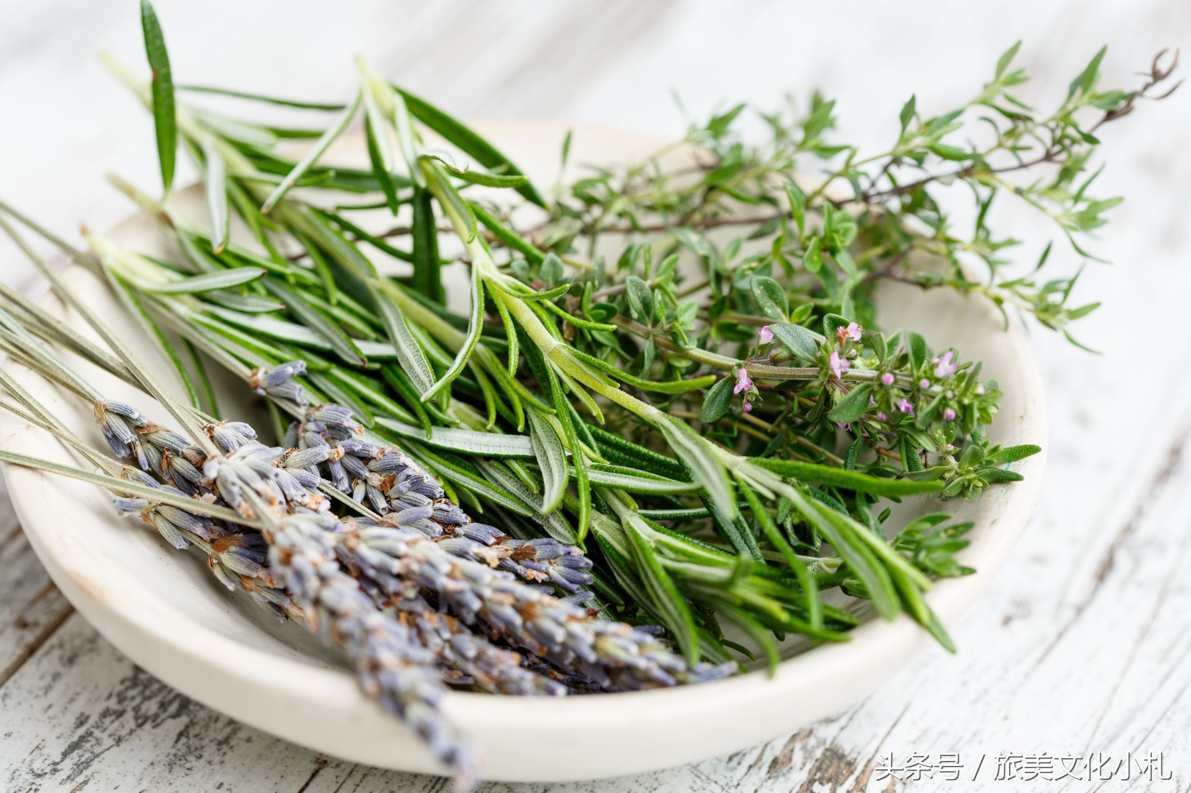 薰衣草花语代表爱情,衣草的花语是等待幸福