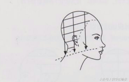 沙宣美发的十大基础知识,美发课程沙宣