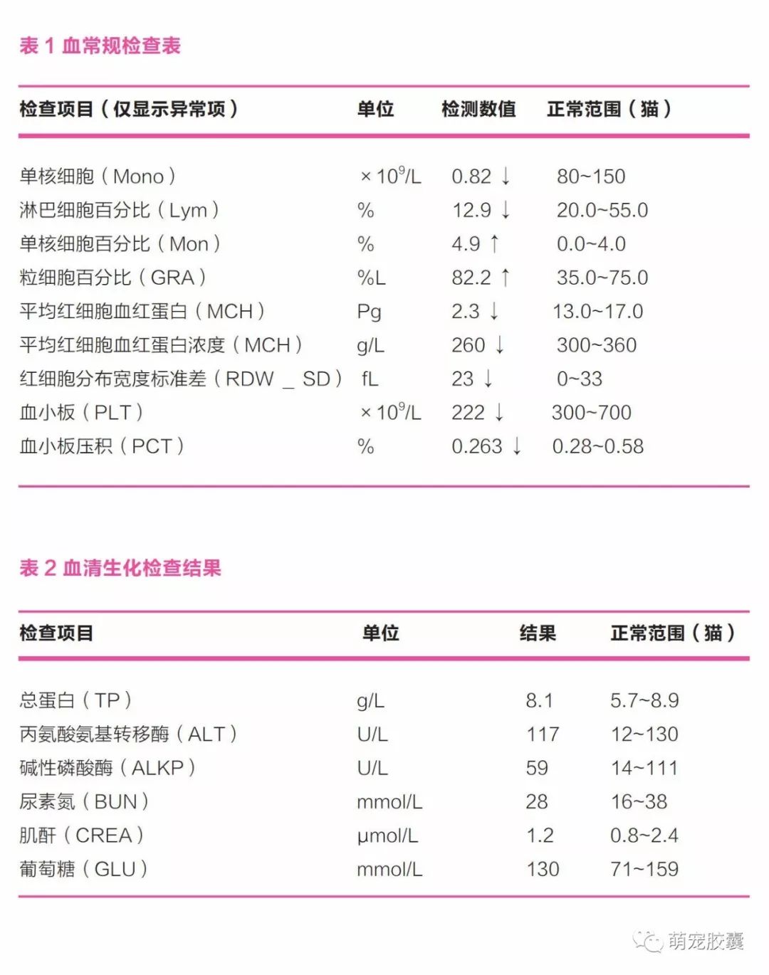 【V-case】猫反复性口炎病例