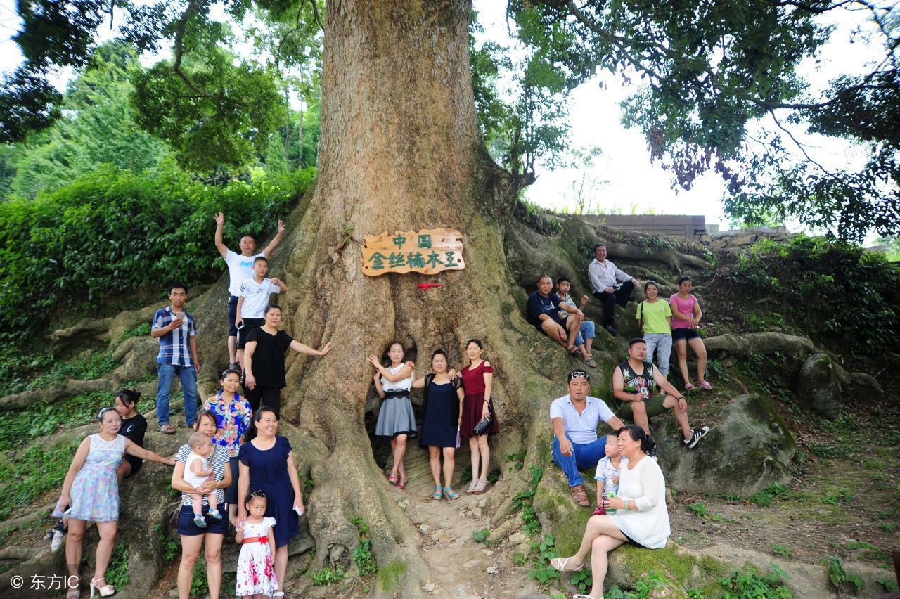 休闲农庄7种模式,怎样定位自己农场