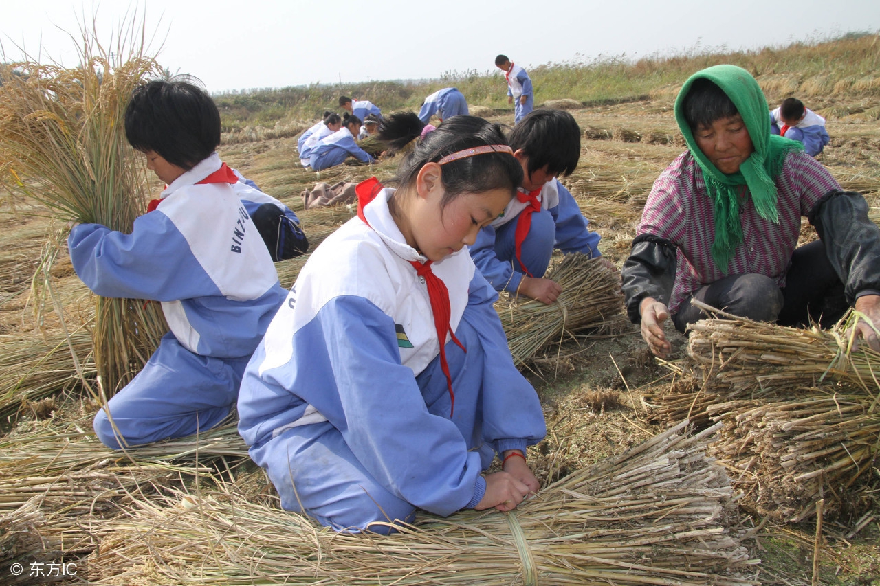 休闲农庄7种模式,怎样定位自己农场
